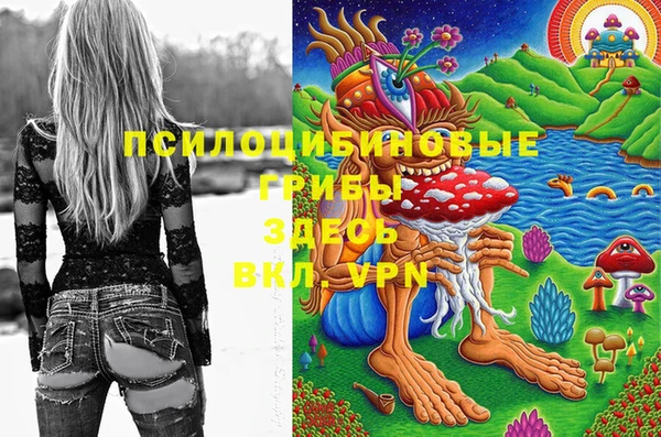 гашиш Аркадак